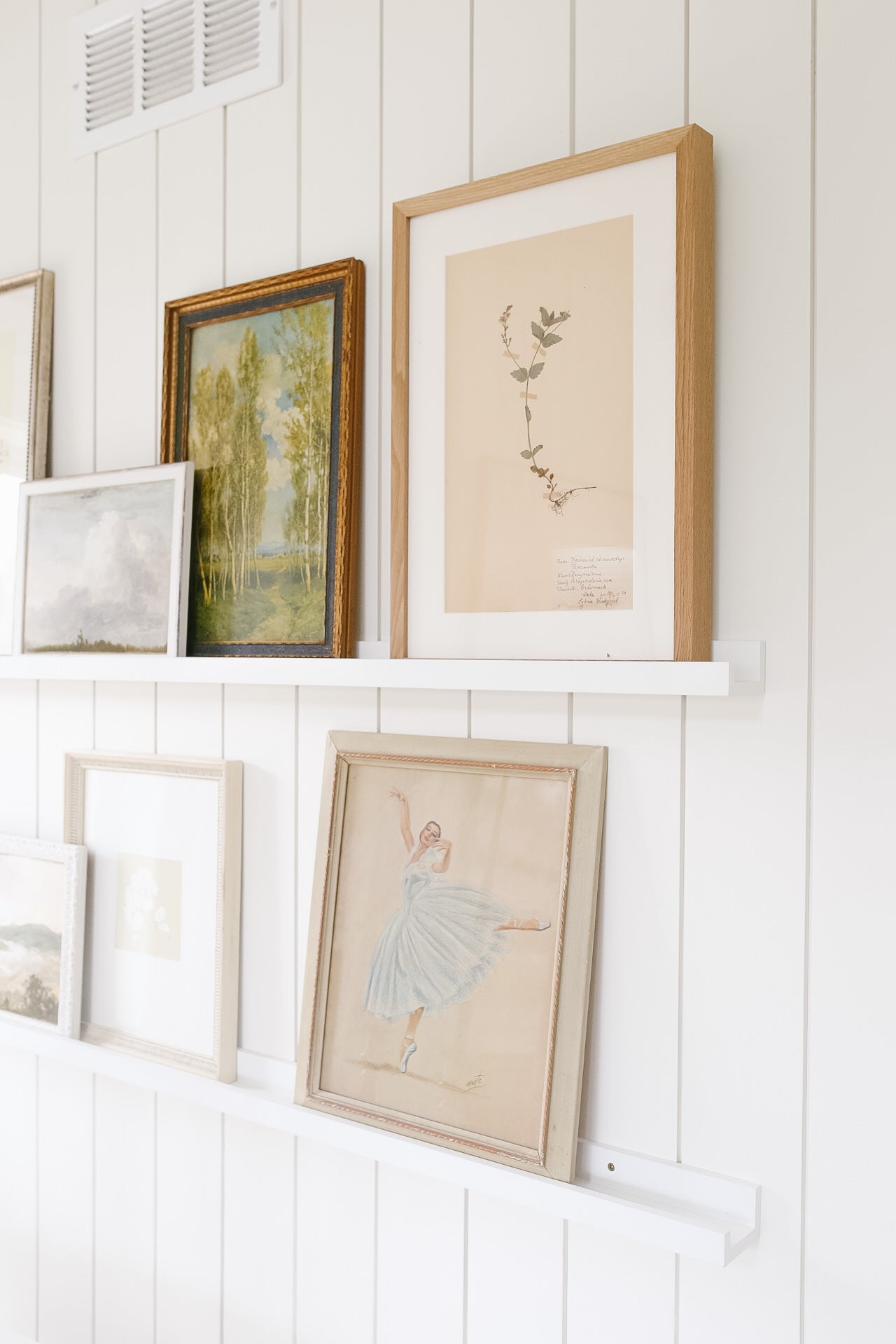 Framed Vintage Botanical XIII