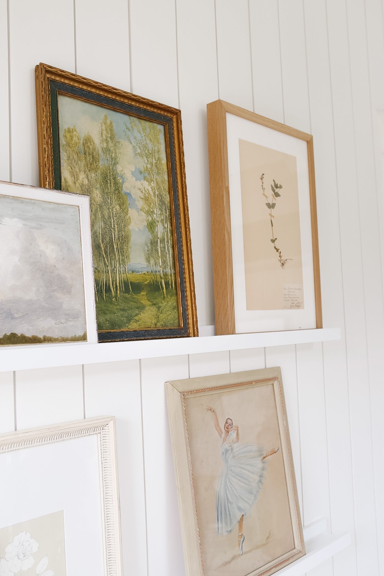 Framed Vintage Botanical XXXII
