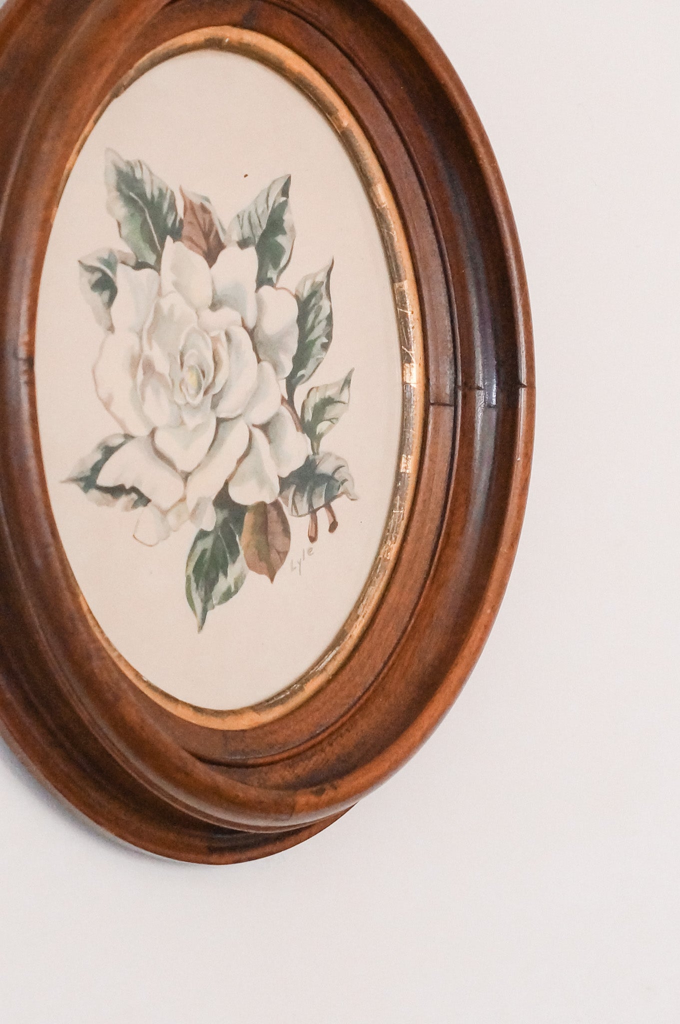 Oval Magnolia Bloom Art