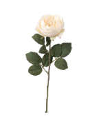 Retail $12: Ivory Rose Stem