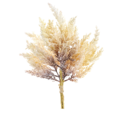 Retail $15: Astilbe Bush Pick