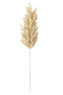 Retail $15: Astilbe Stem