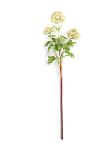 Retail $15: Spring Viburnum Stem