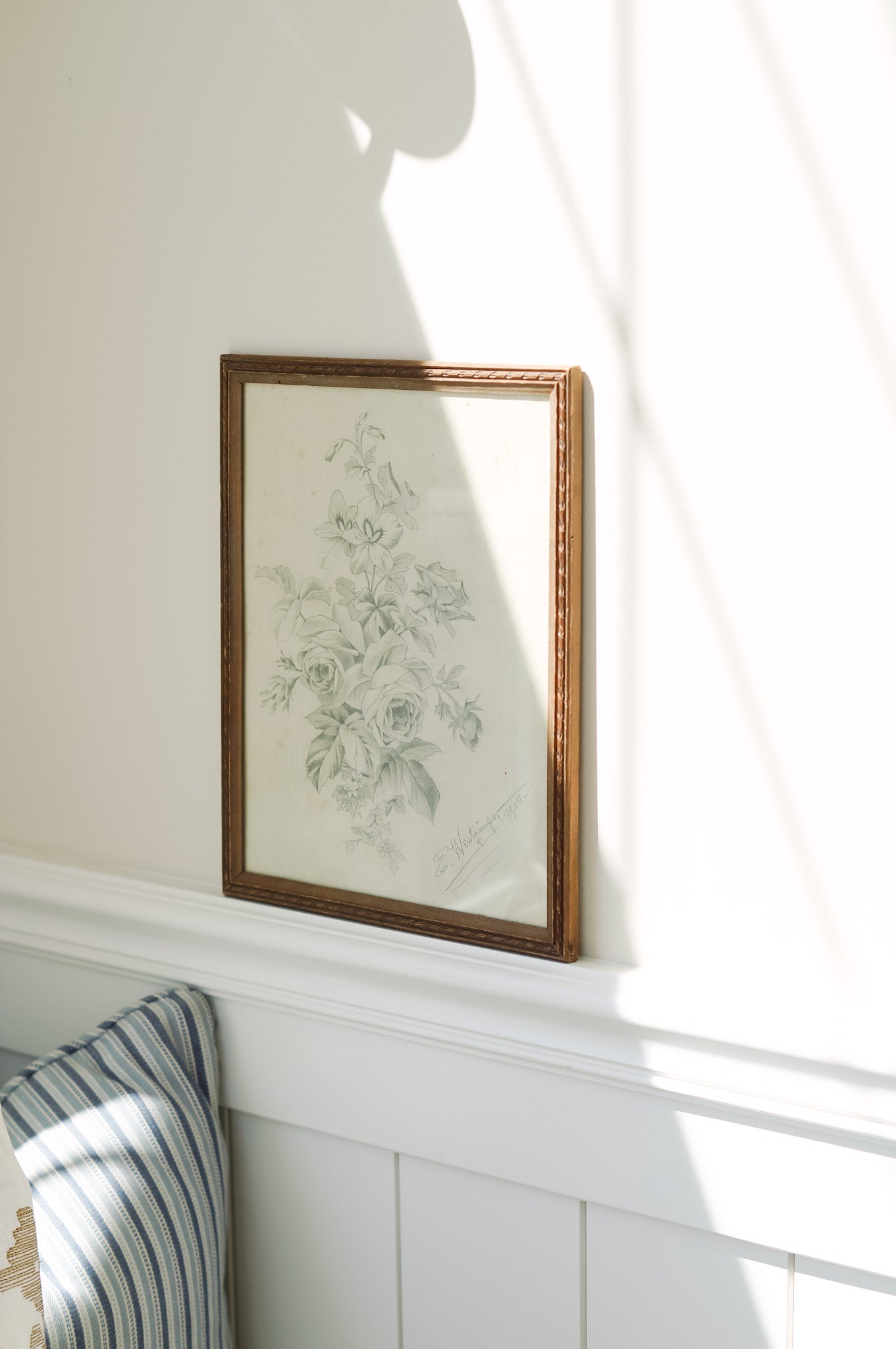 Framed French Rose Sketch