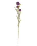 Retail $15: Purple Allium Stem