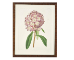 Retail $245: Pink Bloom Art