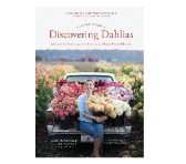 Retail $25: Discovering Dahlias