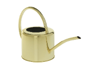 Retail $35: Brass Watering Can