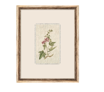 Retail $370: Treillage Botanical IV