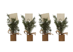 Retail $40: Pine Tree Place Card Holders Set